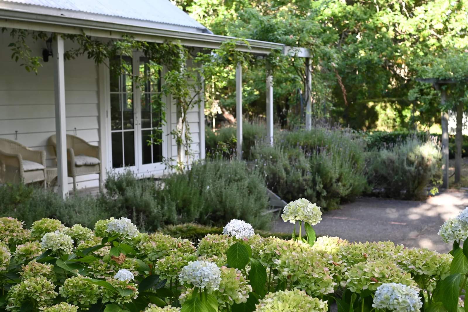 Little Branches Bed and Breakfast — photo 4