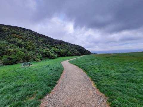 Waihinahina Park — photo 3