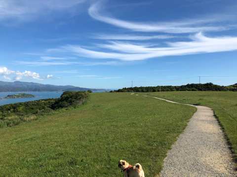 Waihinahina Park — photo 2