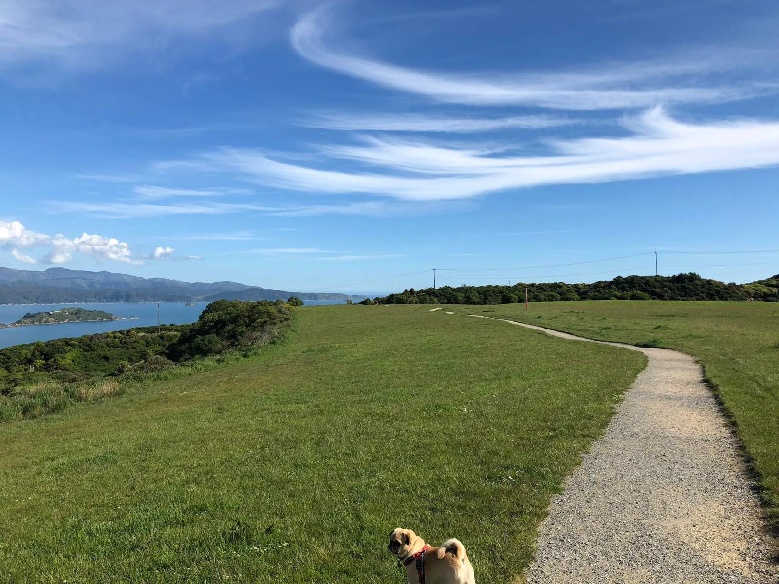 Waihinahina Park — photo 2