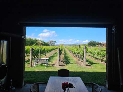 Tiwaiwaka Winery — photo 4