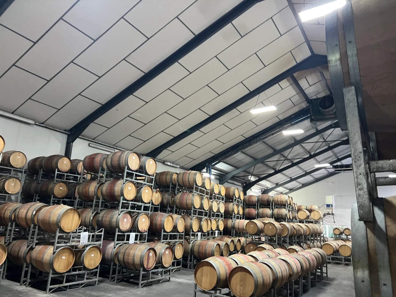 Wine tour Cape Town and Stellenbosch — photo 3