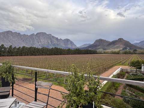 Wine tour Cape Town and Stellenbosch — photo 2