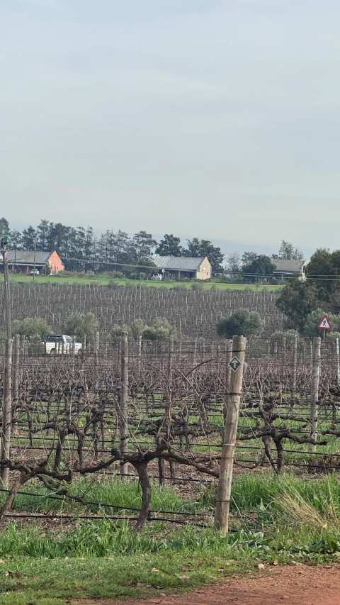 Wine tour Cape Town and Stellenbosch — photo 5