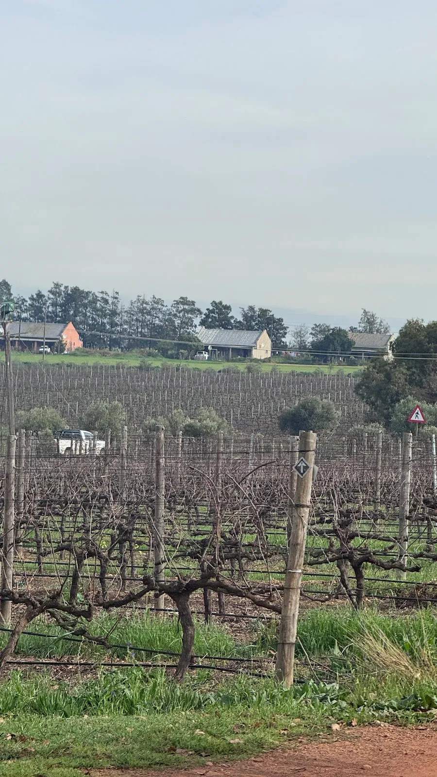 Wine tour Cape Town and Stellenbosch — photo 5