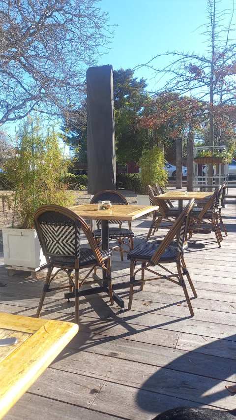 Kokodeli Cafe — photo 5