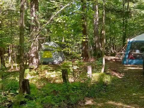 Chippewa Campground — photo 2