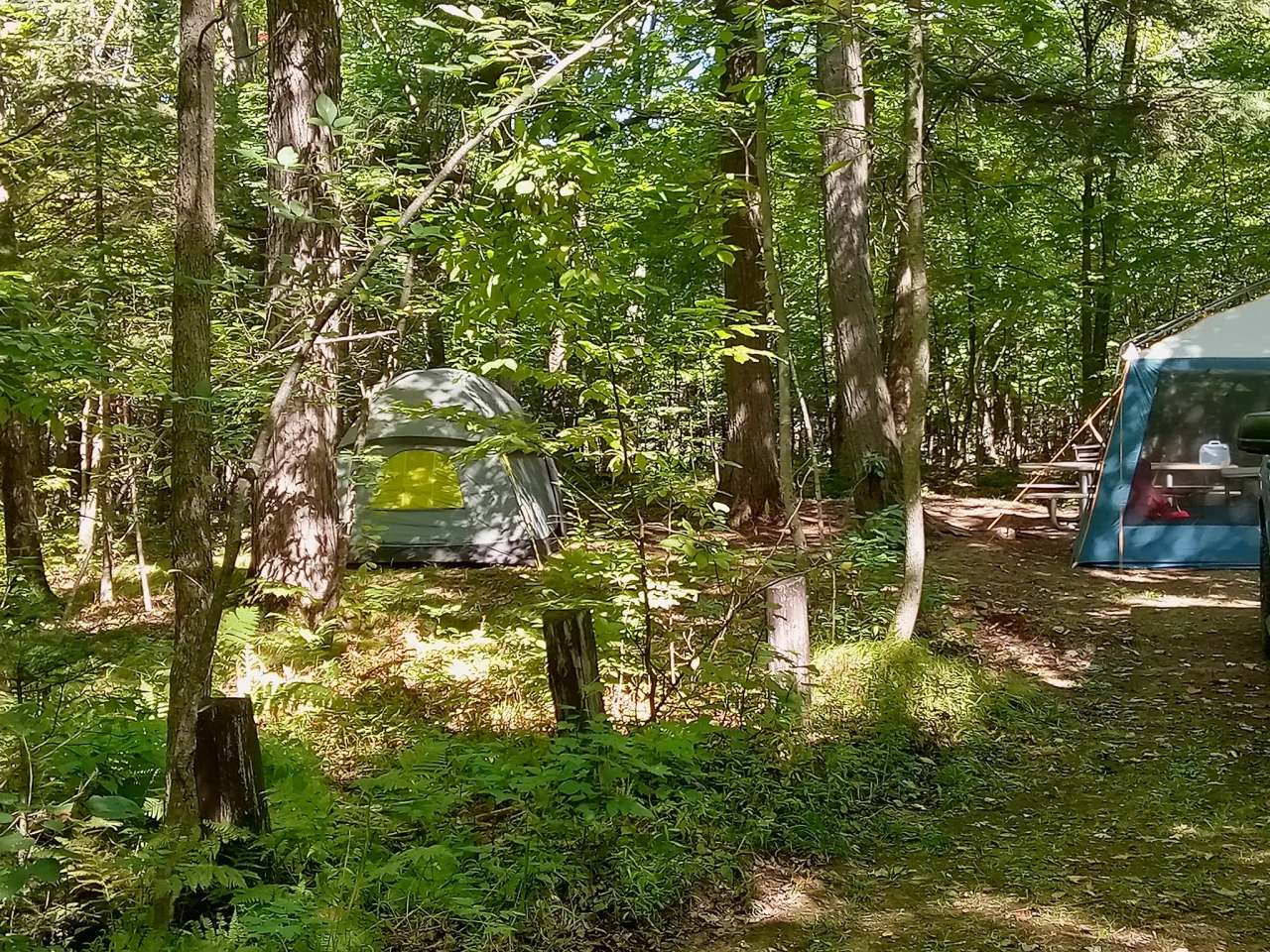 Chippewa Campground — photo 2