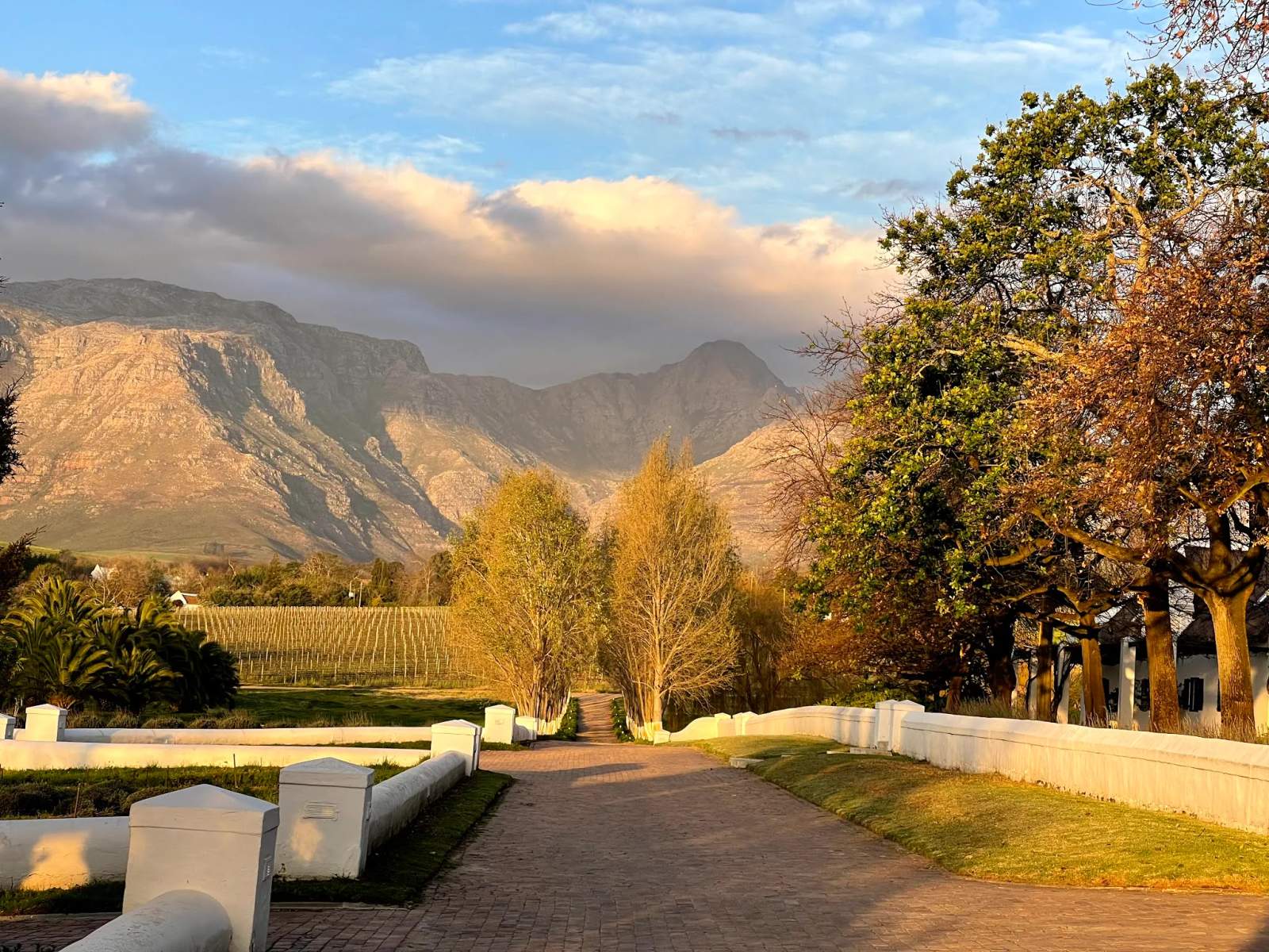 Peter Falke Wines — photo 2
