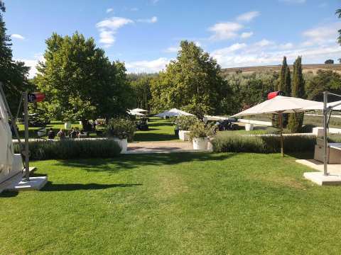 Peter Falke Wines — photo 3