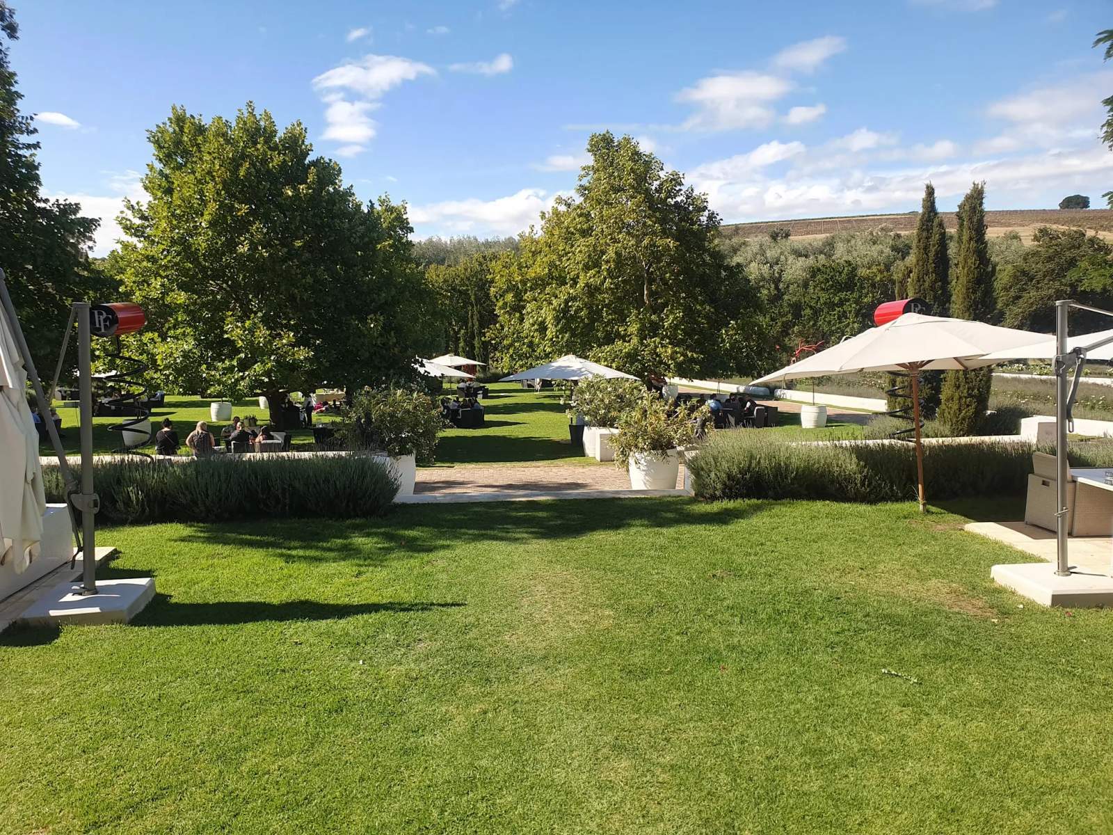 Peter Falke Wines — photo 3