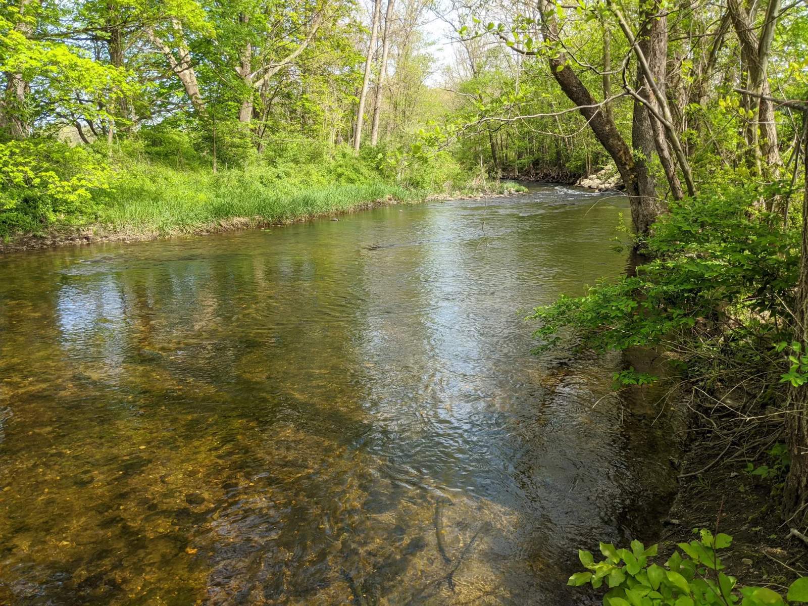 Three Rivers Field — photo 1