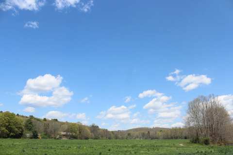 Three Rivers Field — photo 2