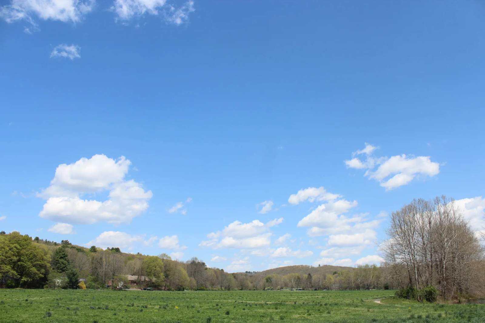 Three Rivers Field — photo 2