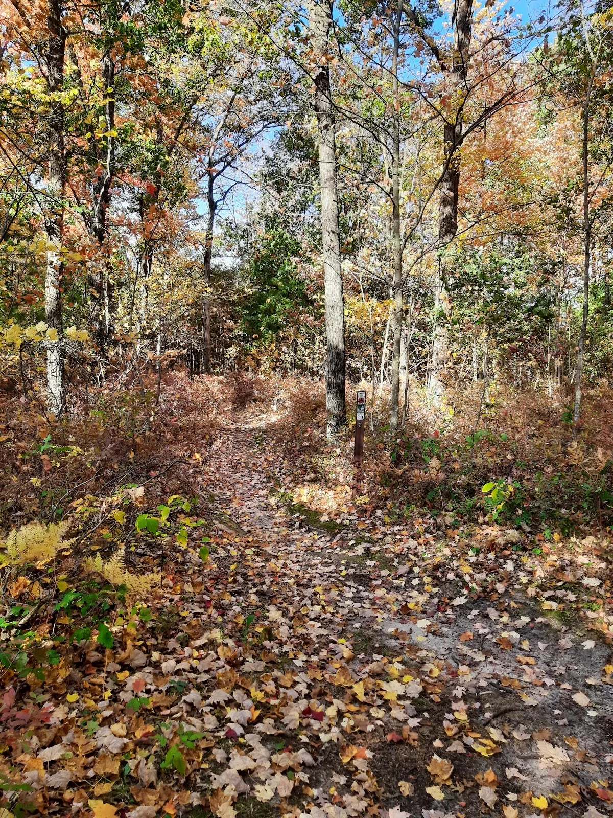 Levis/Trow Mounds Trailhead — photo 3