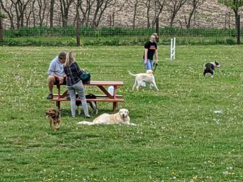 Viroqua Bark Park — photo 3