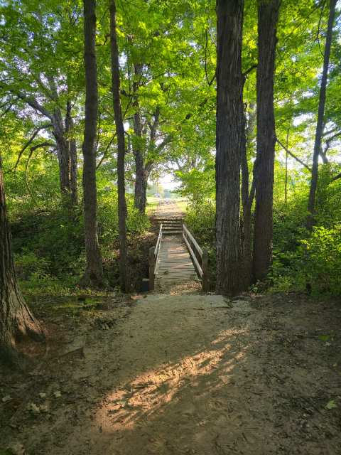 Kletzsch Park — photo 2