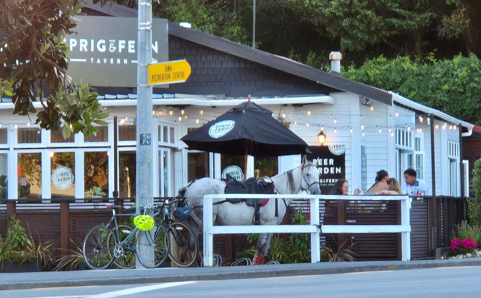 Sprig + Fern Tavern Tawa — photo 1