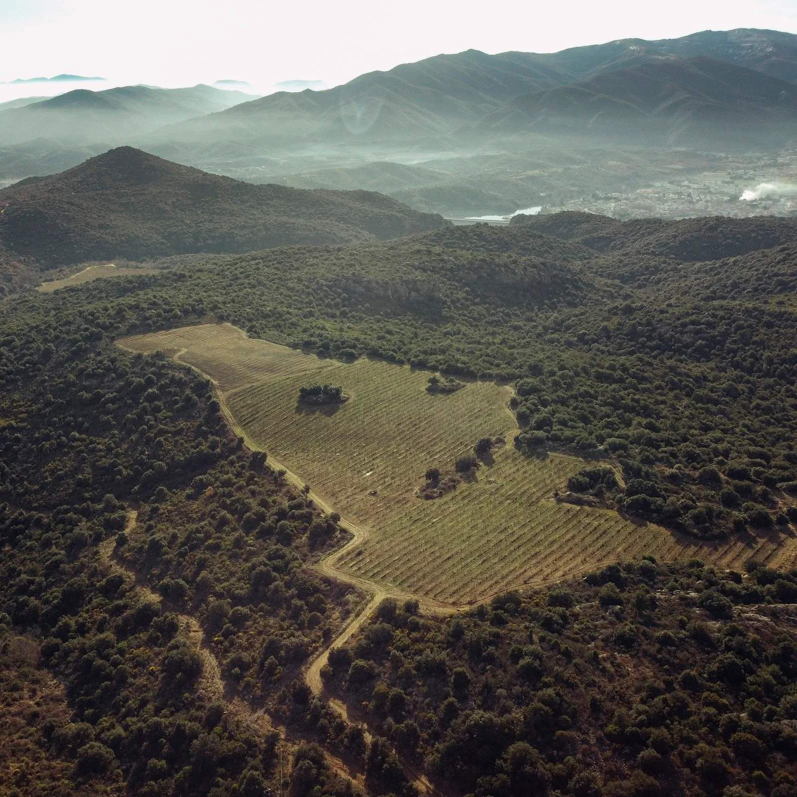 Domaine des Trois Orris — photo 1