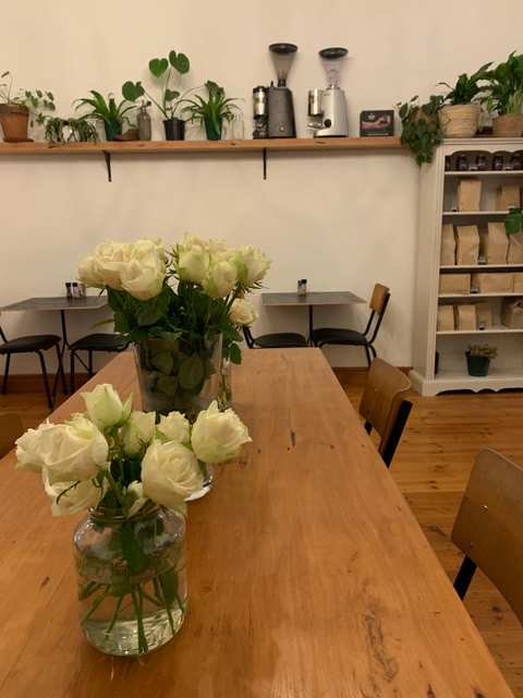 Alcove Coffee Roastery — photo 5