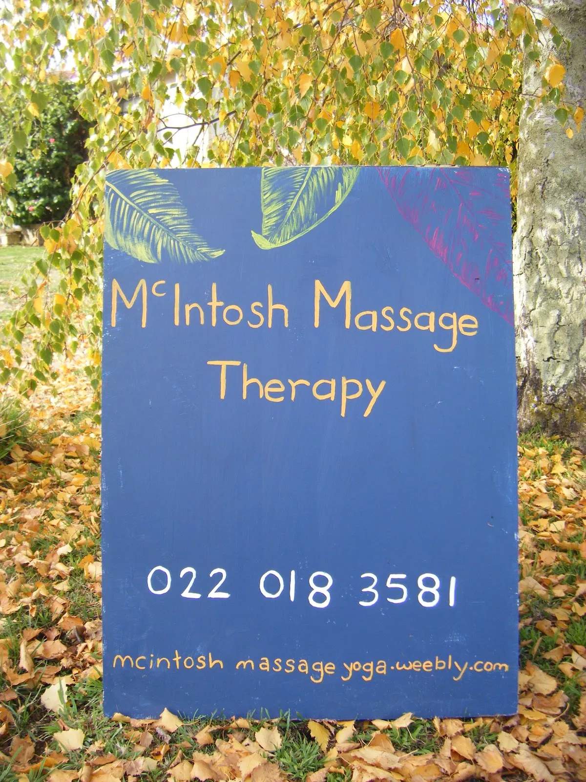 McIntosh Massage Therapy & Yoga — photo 1