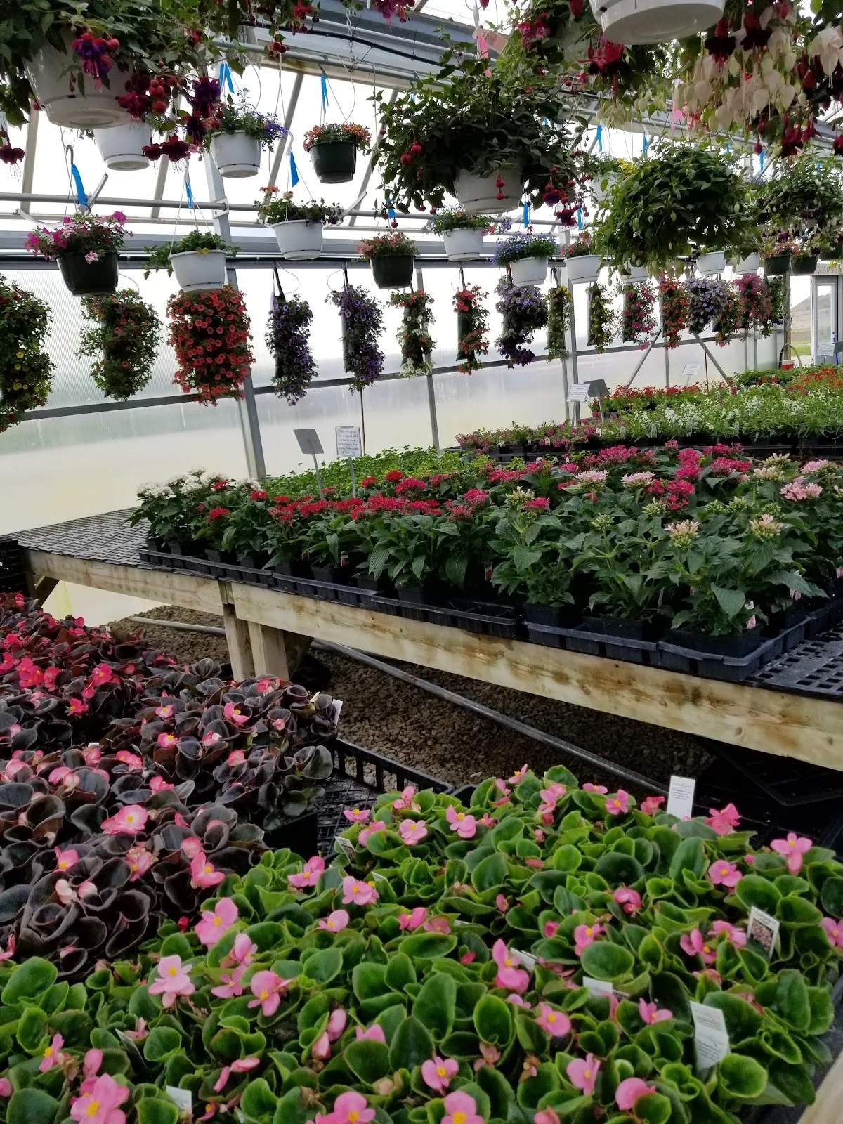 Hoekstra's Market & Greenhouse, LLC — photo 2