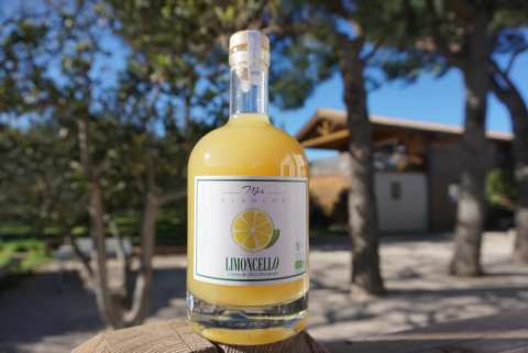 Domaine de la Mer Blanche — photo 3