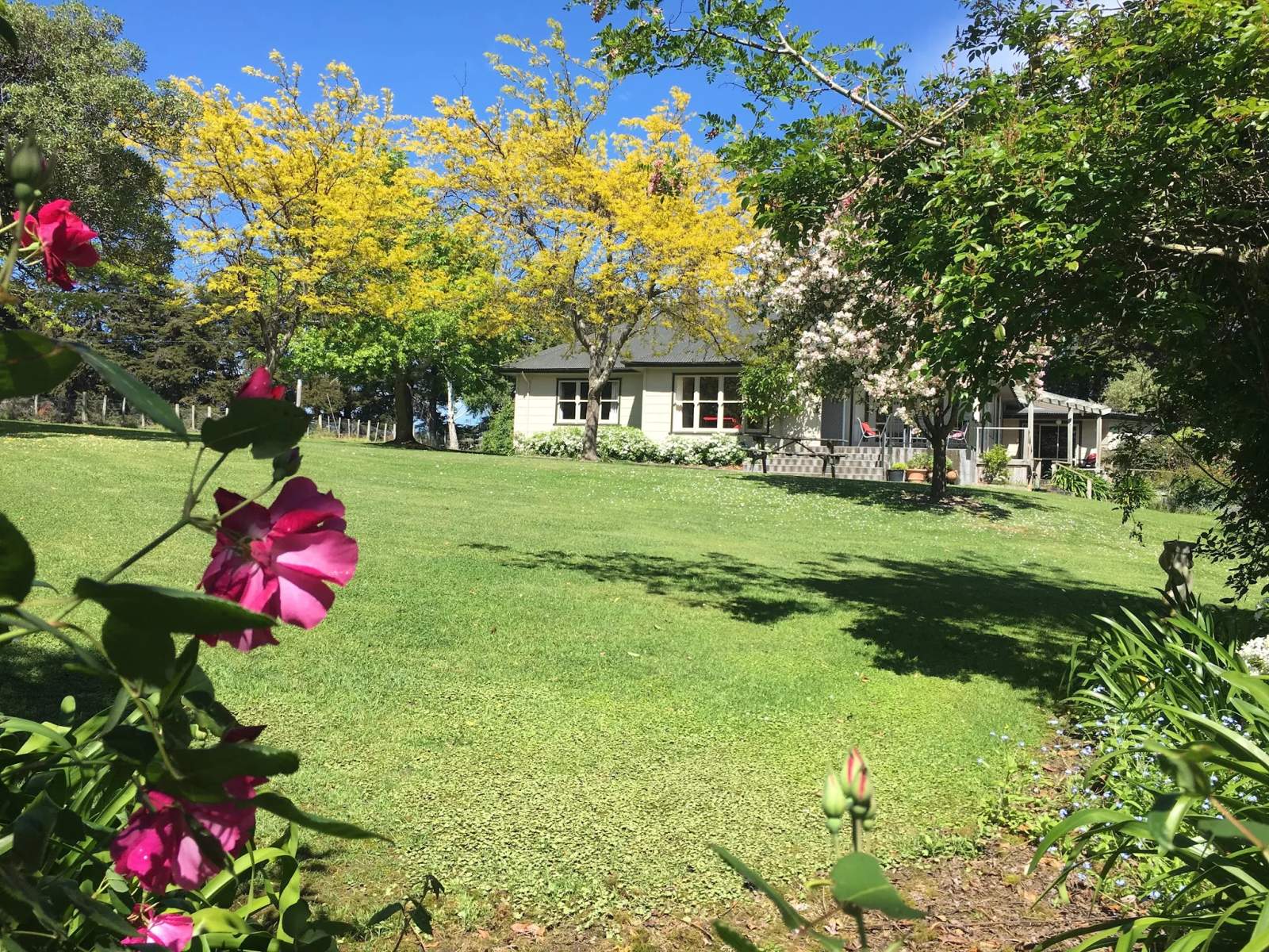 Ellstone Bed and Breakfast — photo 1