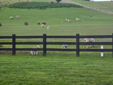 Ellstone Bed and Breakfast — photo 3