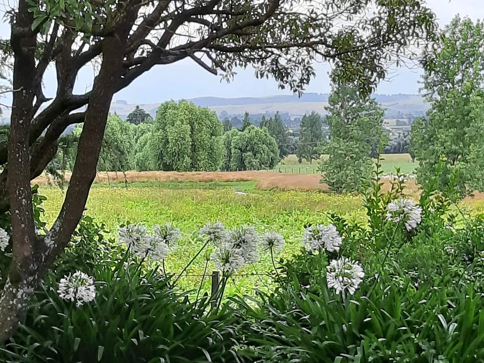 Ellstone Bed and Breakfast — photo 4