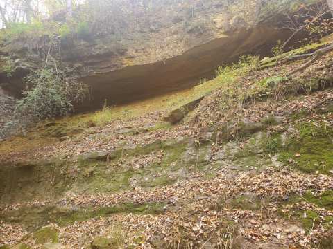 Elroy-Sparta State Trail Tunnel 3 — photo 3
