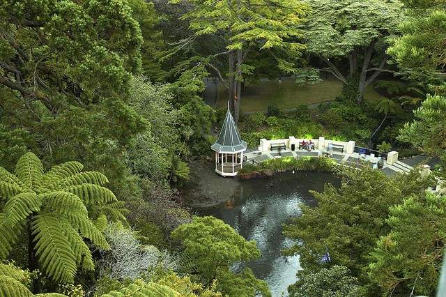 Wellington Botanic Garden — photo 2