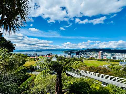 Wellington Botanic Garden — photo 3