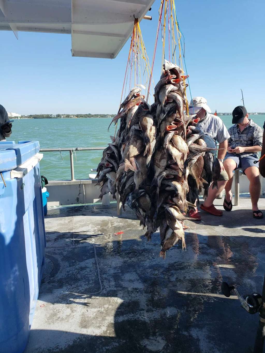 Queen Fleet Deep Sea Fishing