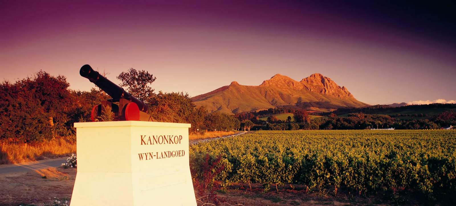 Kanonkop Wine Estate — photo 1
