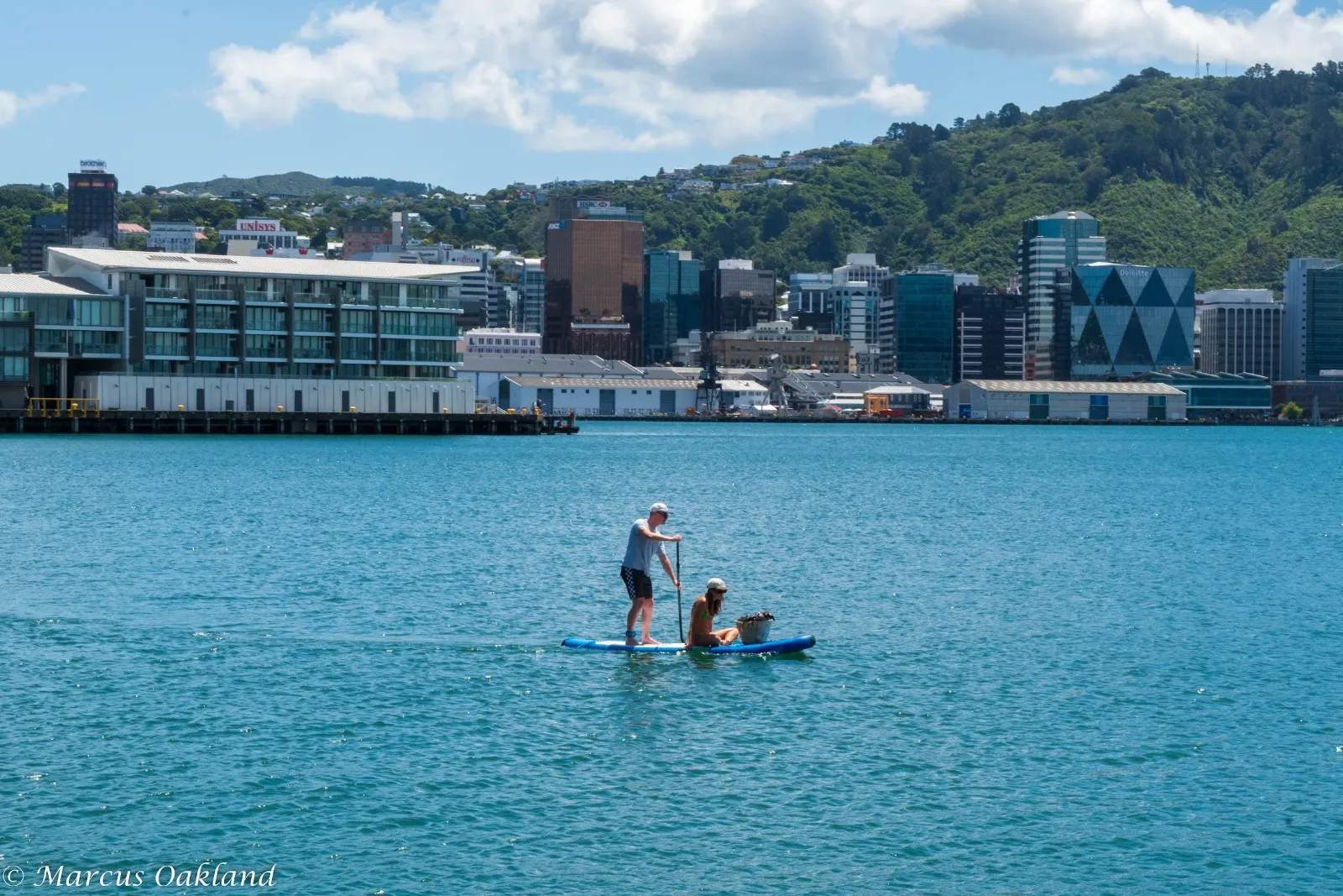 Oriental Bay — photo 2