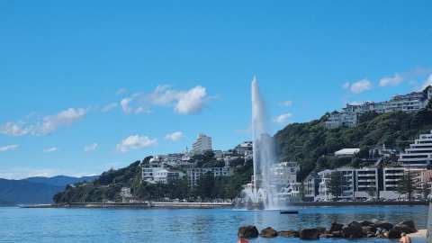 Oriental Bay — photo 3