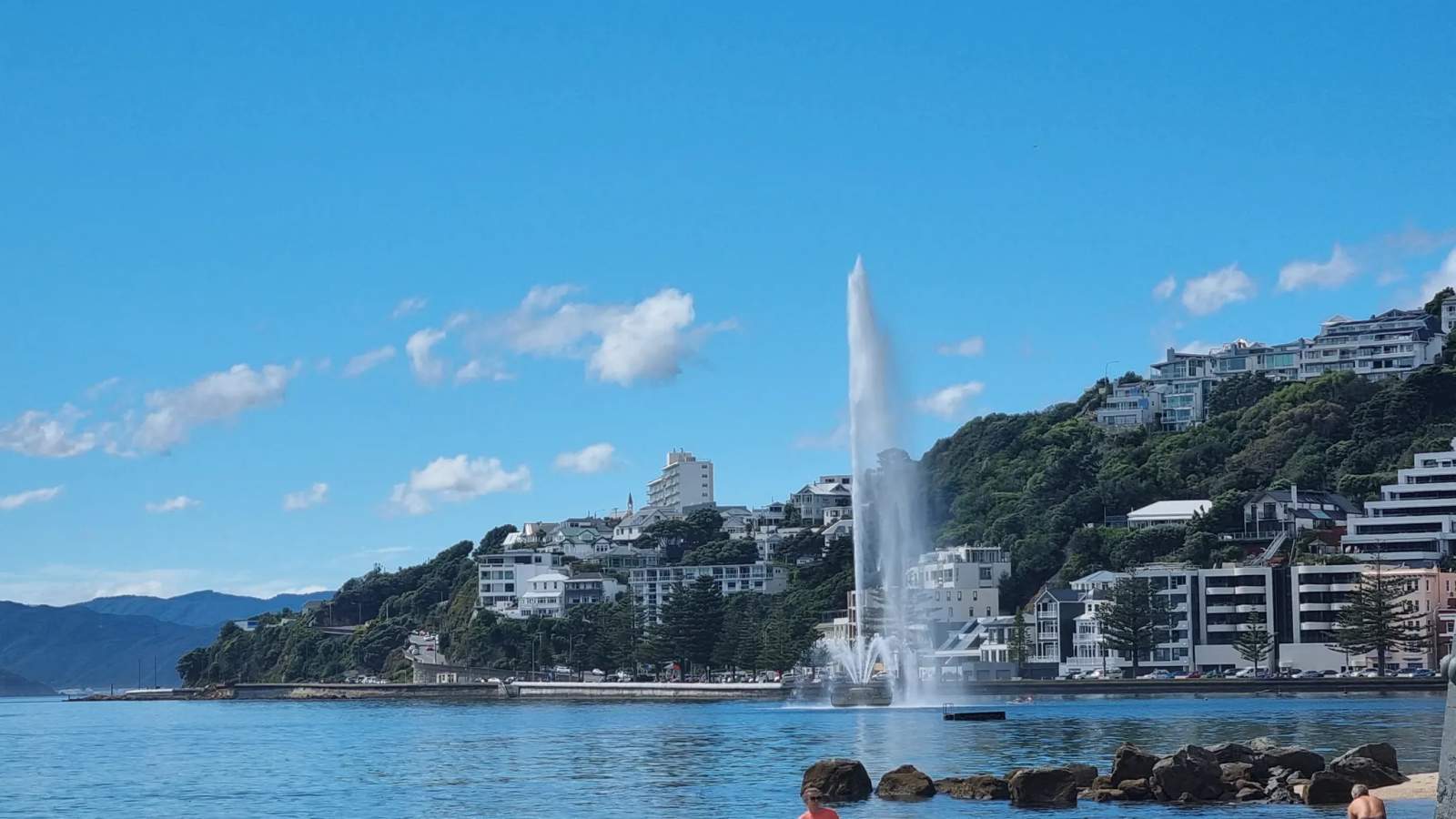 Oriental Bay — photo 3