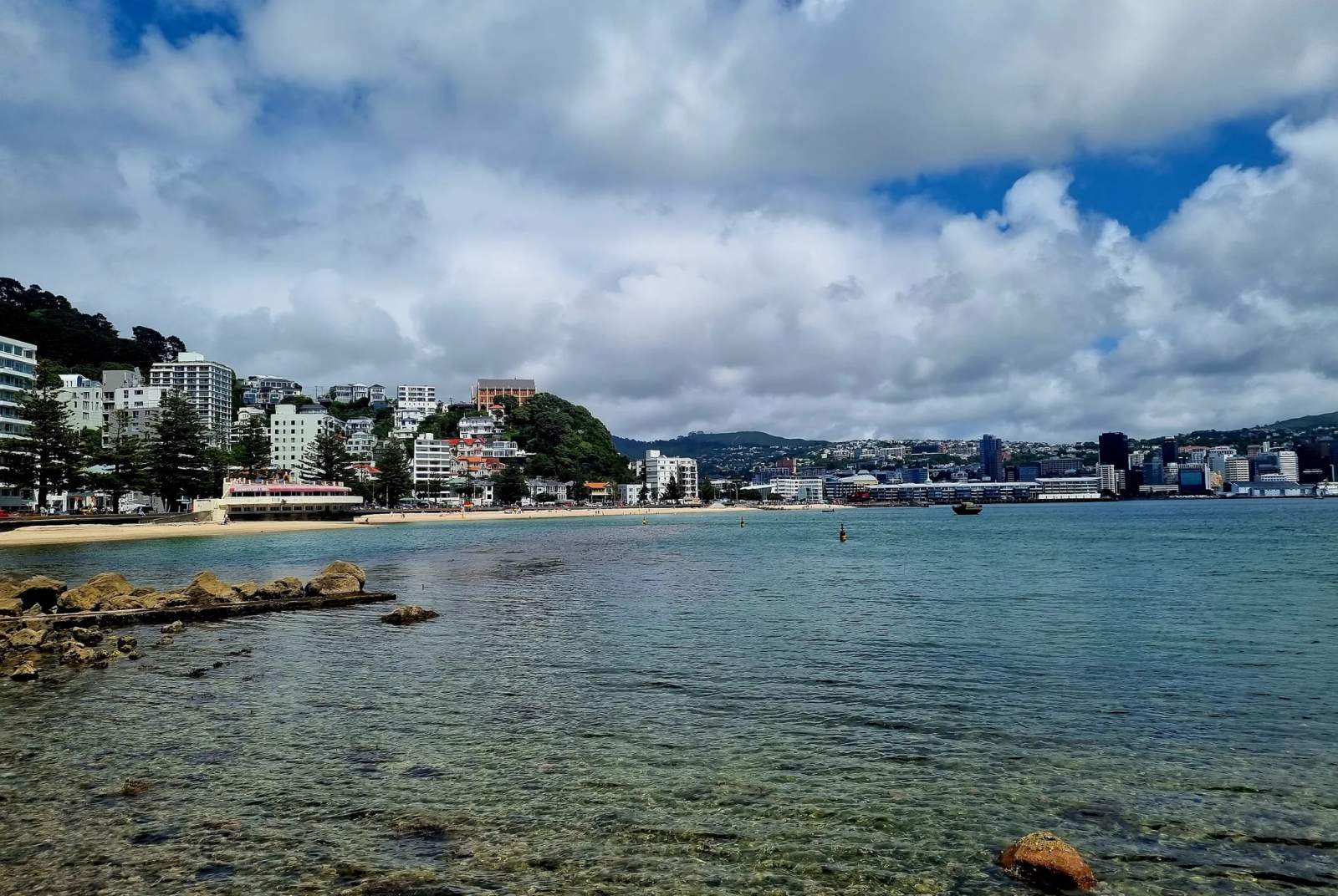 Oriental Bay — photo 1