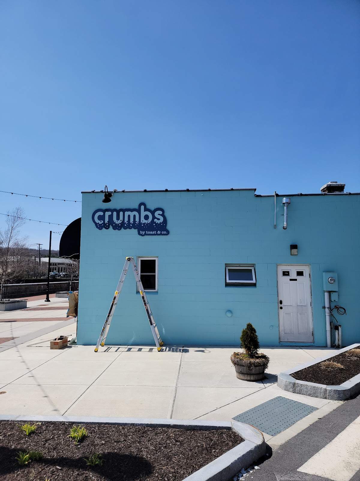 Crumbs by Toast and Co — photo 1