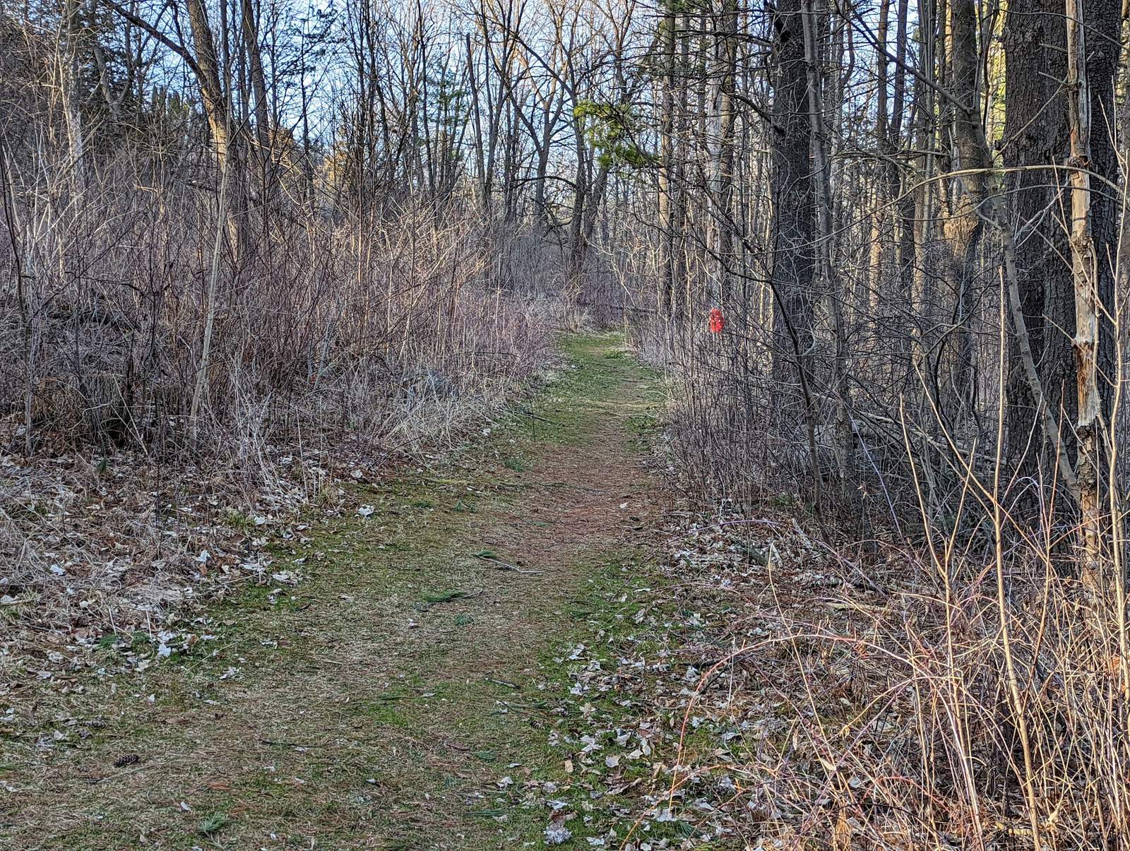 CLCF's Rudorf Farm — photo 4