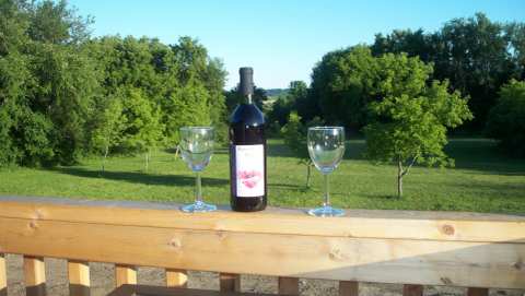 Pieper Porch Winery & Vineyard — photo 3