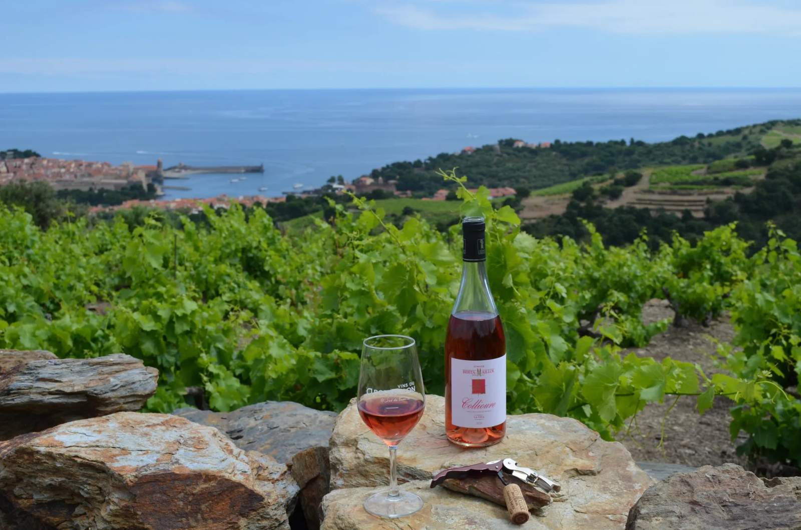 Domaine Berta-Maillol — photo 1
