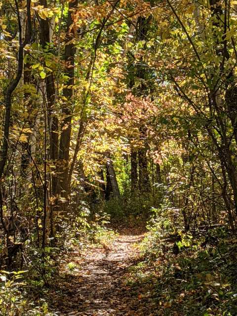 Sauk Creek Nature Preserve — photo 5