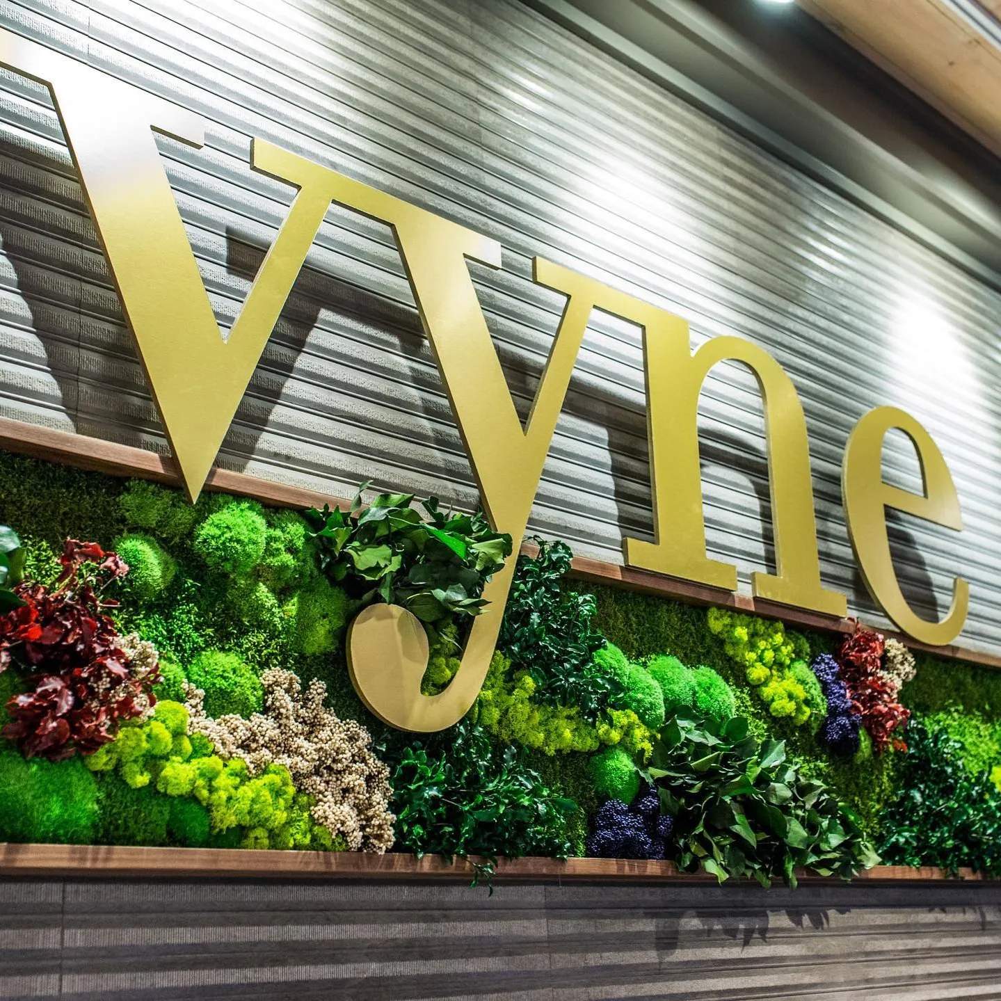 Vyne Restaurant & Bar — photo 3