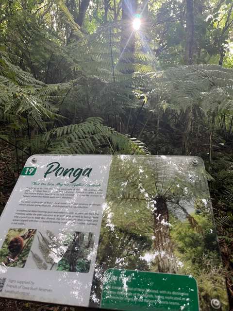 Redwood Bush Reserve — photo 2