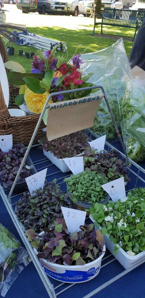 Carterton Farmers' Market — photo 3