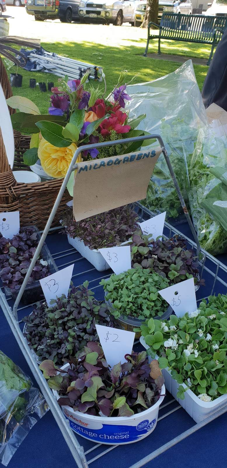Carterton Farmers' Market — photo 3