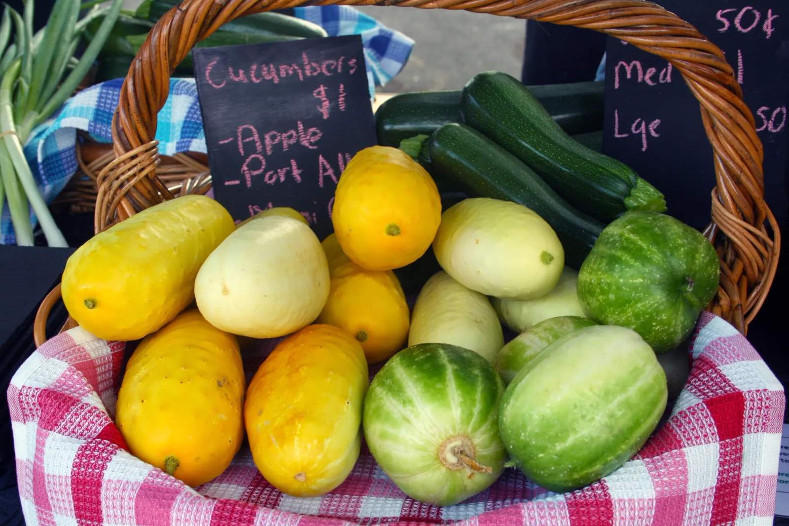 Carterton Farmers' Market — photo 5