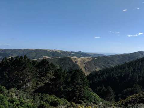 Karori Park — photo 3